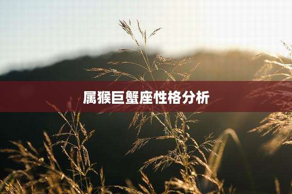 属猴巨蟹座性格分析