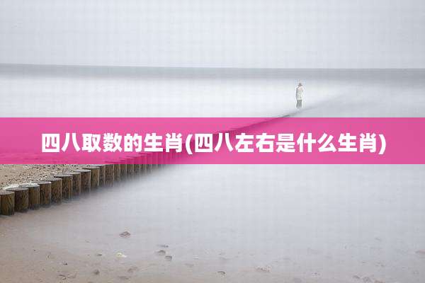 四八取数的生肖(四八左右是什么生肖)