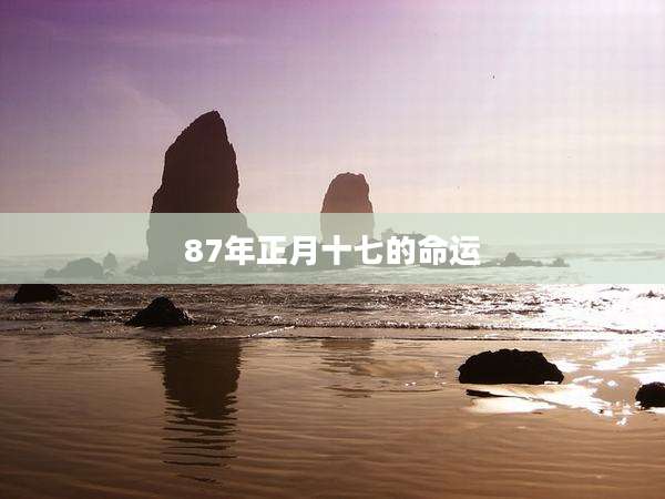 87年正月十七的命运