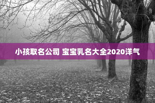 小孩取名公司 宝宝乳名大全2020洋气