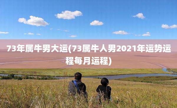 73年属牛男大运(73属牛人男2021年运势运程每月运程)