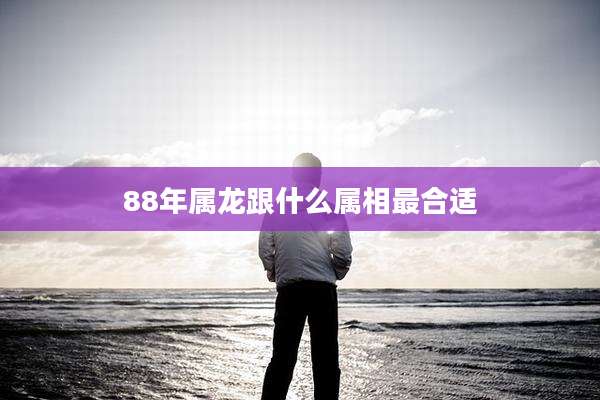 88年属龙跟什么属相最合适