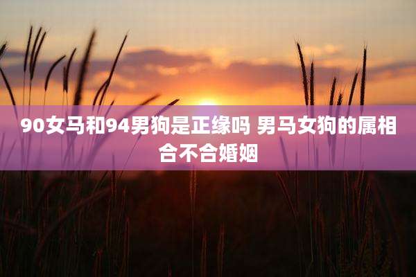 90女马和94男狗是正缘吗 男马女狗的属相合不合婚姻