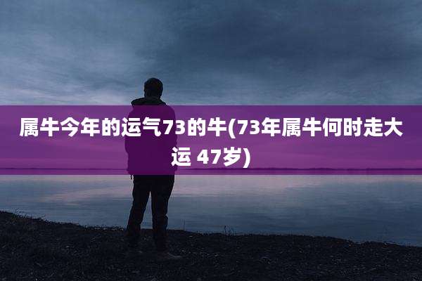 属牛今年的运气73的牛(73年属牛何时走大运 47岁)