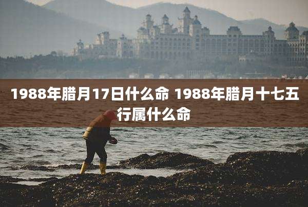 1988年腊月17日什么命 1988年腊月十七五行属什么命