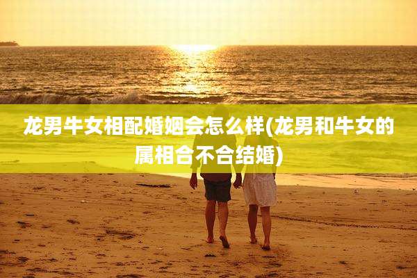 龙男牛女相配婚姻会怎么样(龙男和牛女的属相合不合结婚)