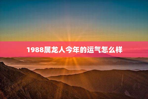 1988属龙人今年的运气怎么样