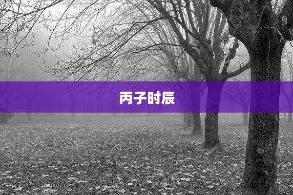 丙子时辰