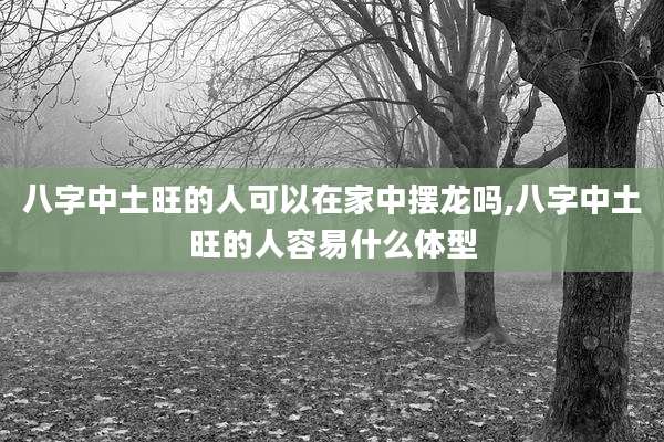 八字中土旺的人可以在家中摆龙吗,八字中土旺的人容易什么体型