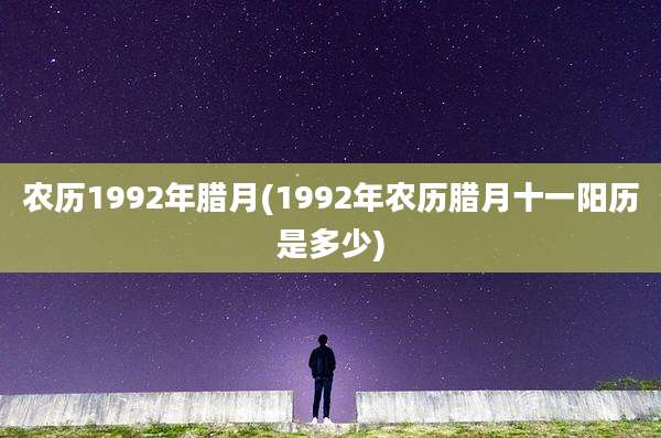 农历1992年腊月(1992年农历腊月十一阳历是多少)