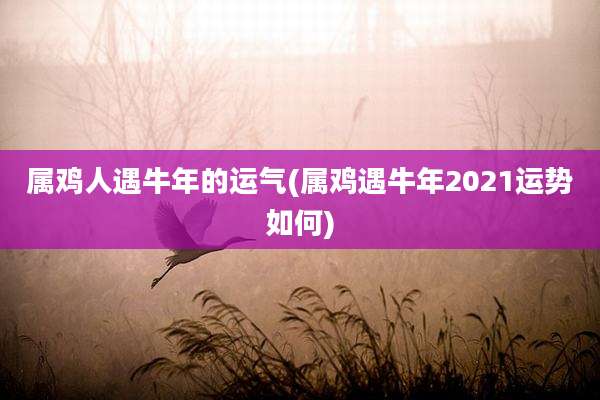 属鸡人遇牛年的运气(属鸡遇牛年2021运势如何)