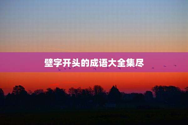 壁字开头的成语大全集尽