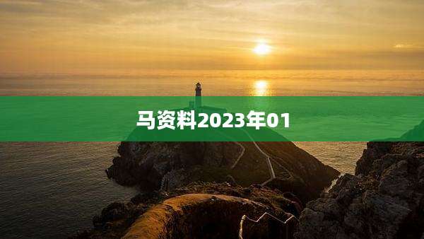 马资料2023年01