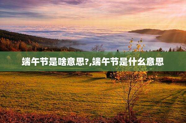 端午节是啥意思?,端午节是什幺意思