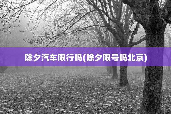 除夕汽车限行吗(除夕限号吗北京)