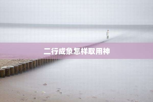 二行成象怎样取用神