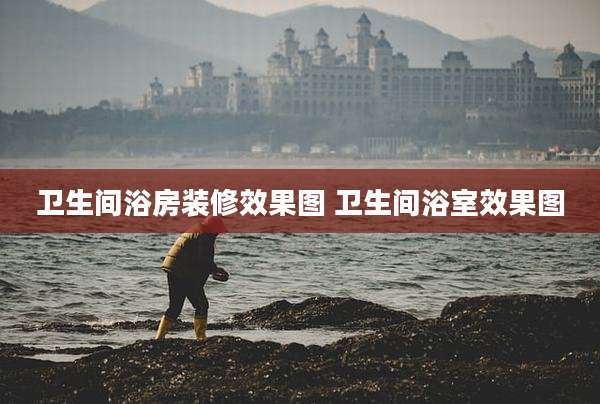 卫生间浴房装修效果图 卫生间浴室效果图