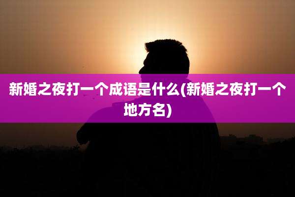 新婚之夜打一个成语是什么(新婚之夜打一个地方名)