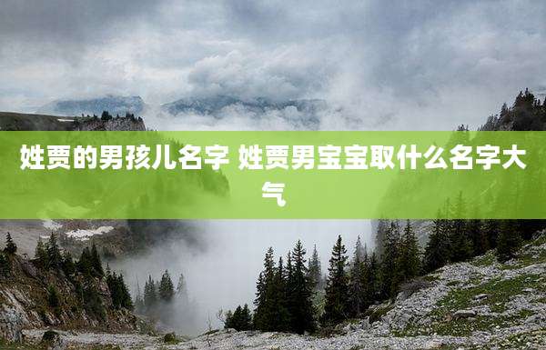 姓贾的男孩儿名字 姓贾男宝宝取什么名字大气