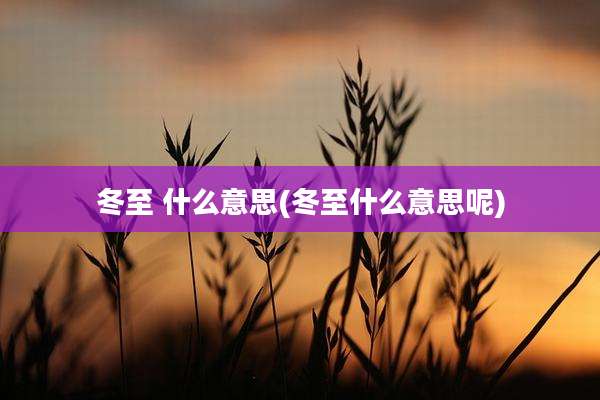 冬至 什么意思(冬至什么意思呢)