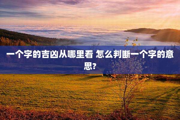一个字的吉凶从哪里看 怎么判断一个字的意思?