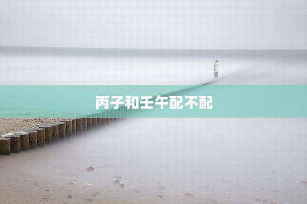 丙子和壬午配不配