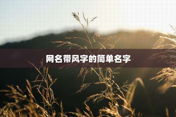 网名带风字的简单名字