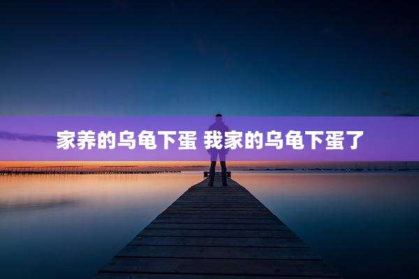家养的乌龟下蛋 我家的乌龟下蛋了