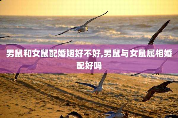 男鼠和女鼠配婚姻好不好,男鼠与女鼠属相婚配好吗