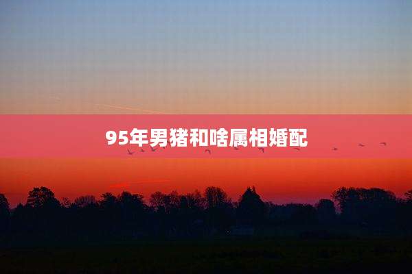 95年男猪和啥属相婚配