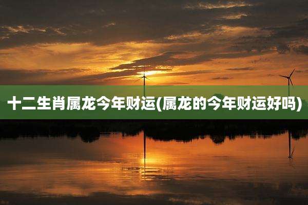 十二生肖属龙今年财运(属龙的今年财运好吗)
