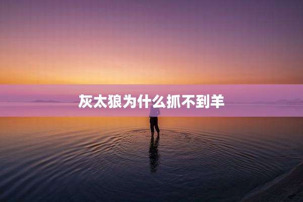 灰太狼为什么抓不到羊