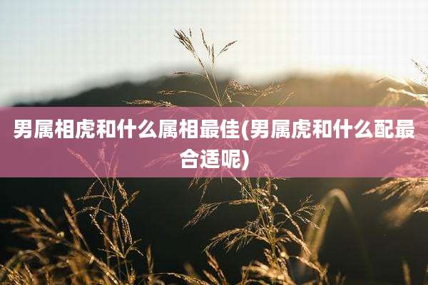 男属相虎和什么属相最佳(男属虎和什么配最合适呢)