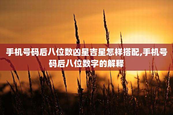 手机号码后八位数凶星吉星怎样搭配,手机号码后八位数字的解释