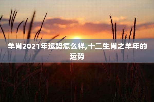 羊肖2021年运势怎么样,十二生肖之羊年的运势