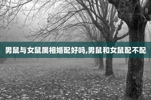 男鼠与女鼠属相婚配好吗,男鼠和女鼠配不配