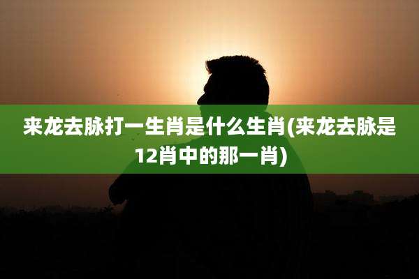 来龙去脉打一生肖是什么生肖(来龙去脉是12肖中的那一肖)