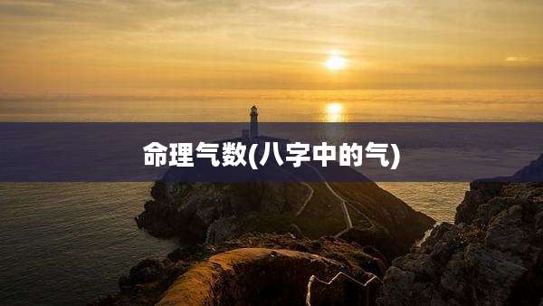 命理气数(八字中的气)
