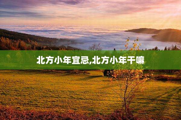 北方小年宜忌,北方小年干嘛