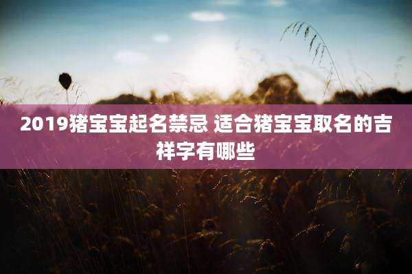 2019猪宝宝起名禁忌 适合猪宝宝取名的吉祥字有哪些