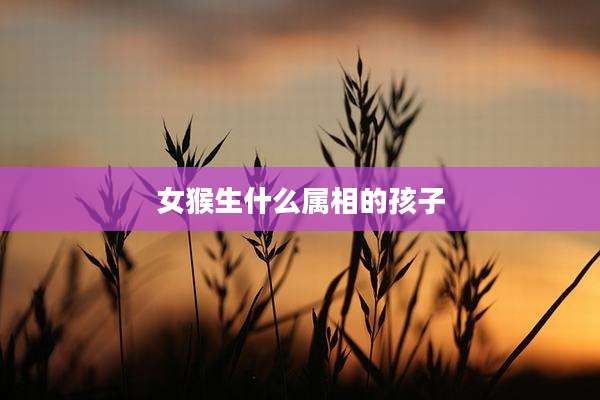 女猴生什么属相的孩子