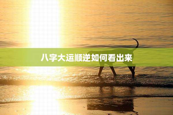 八字大运顺逆如何看出来