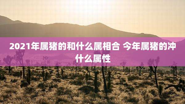 2021年属猪的和什么属相合 今年属猪的冲什么属性