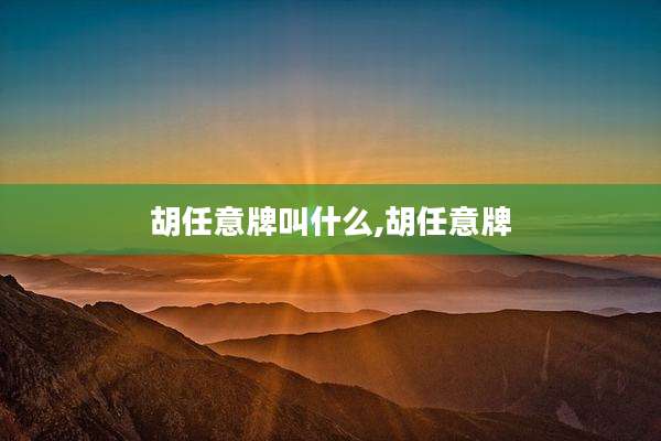 胡任意牌叫什么,胡任意牌