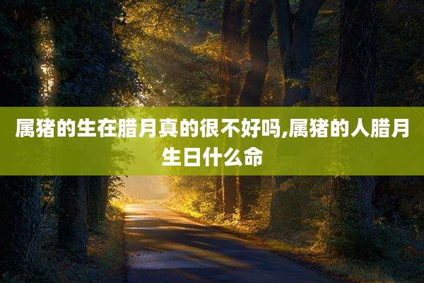 属猪的生在腊月真的很不好吗,属猪的人腊月生日什么命