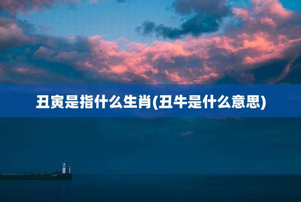 丑寅是指什么生肖(丑牛是什么意思)