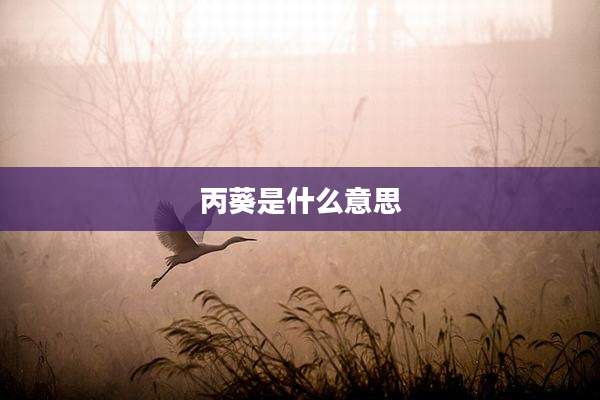 丙葵是什么意思