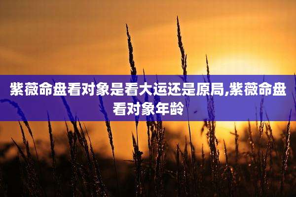 紫薇命盘看对象是看大运还是原局,紫薇命盘看对象年龄