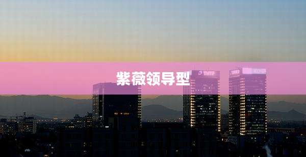紫薇领导型