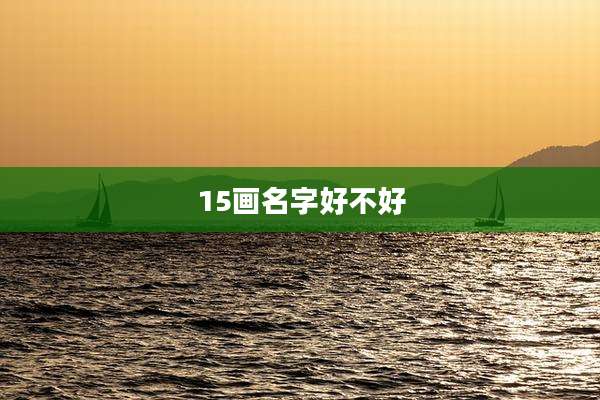 15画名字好不好
